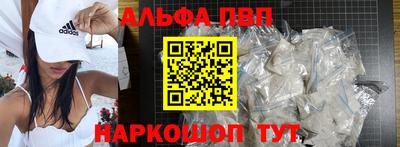 jwh Кингисепп