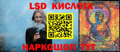 jwh Кингисепп