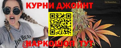 jwh Кингисепп