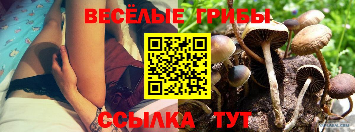 Югорск  Галлюциногенные грибы прущие грибы  Вход с VPN 