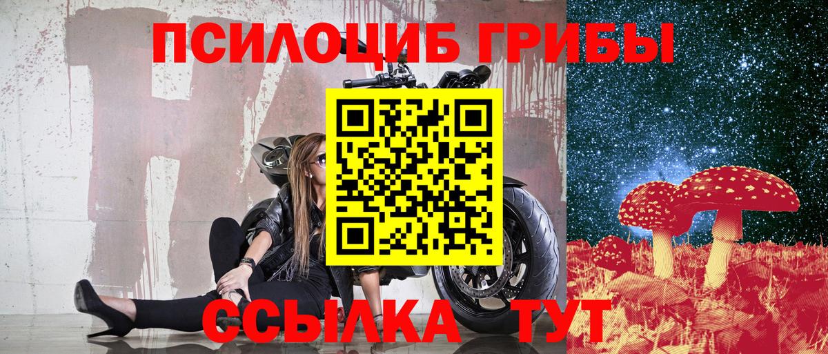 Псилоцибиновые грибы Psilocybe Югорск